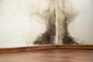 Infiltrações na Parede, a chuva, sendo um fenômeno natural e comum, pode ser um dos principais catalisadores para infiltrações em paredes, especialmente se medidas preventivas não forem adotadas Infiltrações na Parede, Dicas Práticas Para Evitar