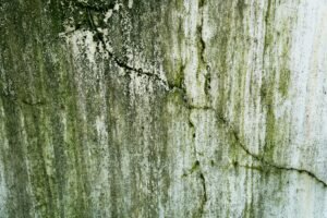 Infiltração na parede compreender as causas é essencial para proteger sua casa de danos estruturais e estéticos que podem causar prejuizos irreverssíveis. Infiltrações na Parede, Dicas Práticas Para Evitar